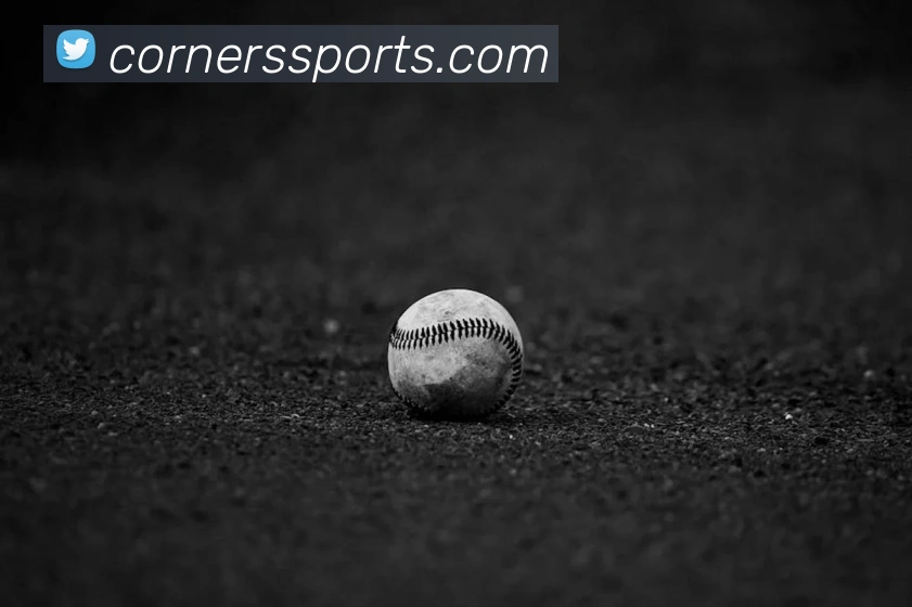 体育下注品牌故事