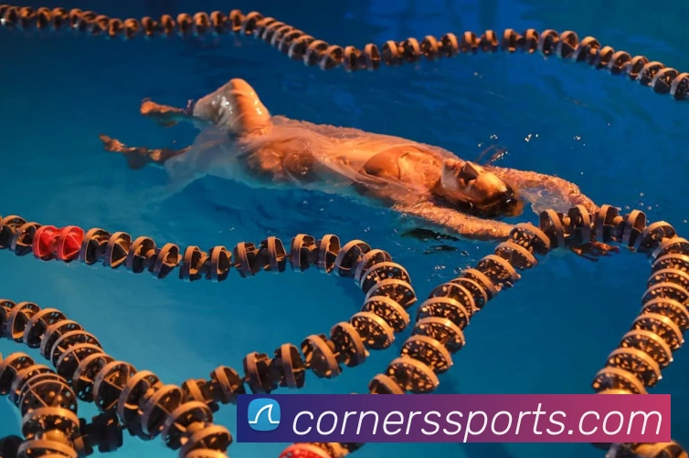 体育下注服务体系